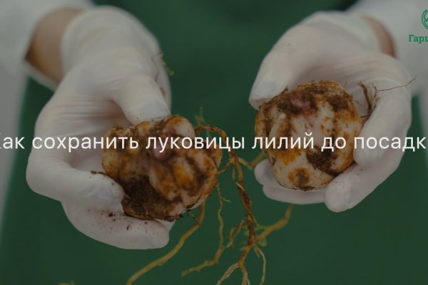Как зайти на площадку кракен