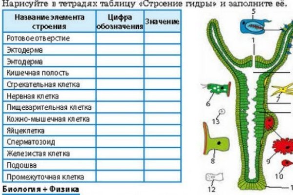 Кракен маркетплейс ссылка тг