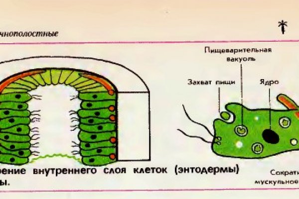 Как найти официальный сайт кракен