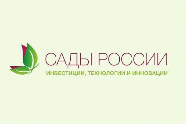Кракен зеркало рабочее на сегодня