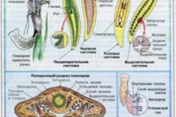 Кракен маркетплейс ссылка тг